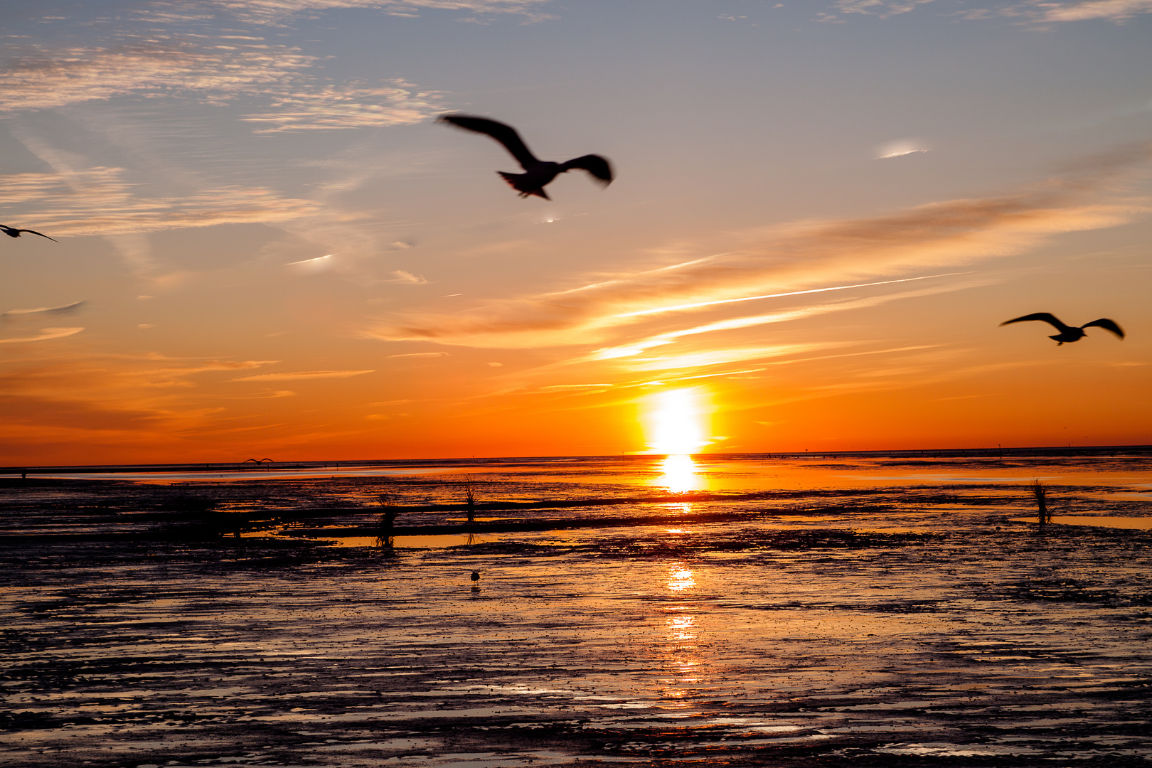 Sonnenuntergang in Cuxhaven Duhnen