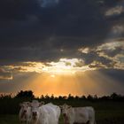 Sonnenuntergang in Dänemark