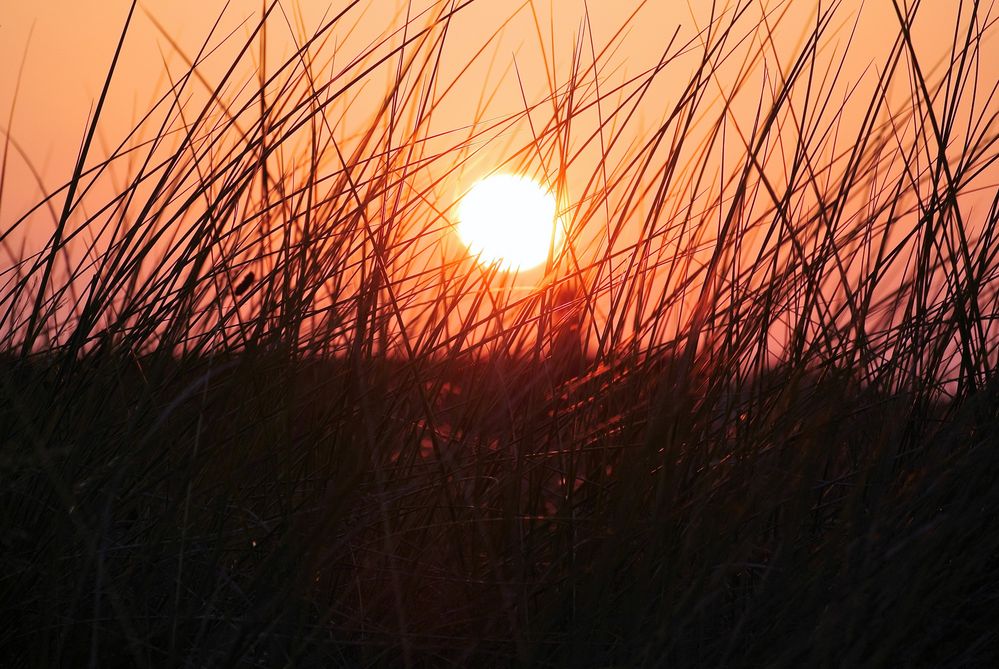 Sonnenuntergang in Dänemark 