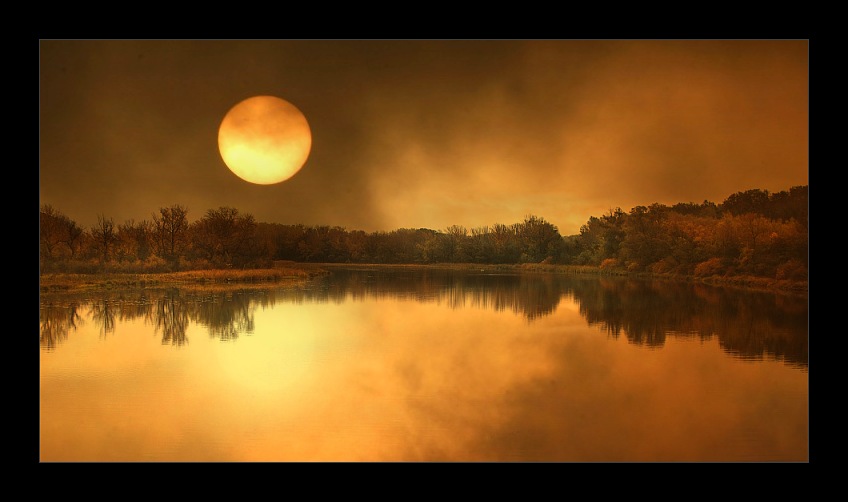 Sonnenuntergang in den Donauauen