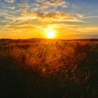 Sonnenuntergang in den Dünen