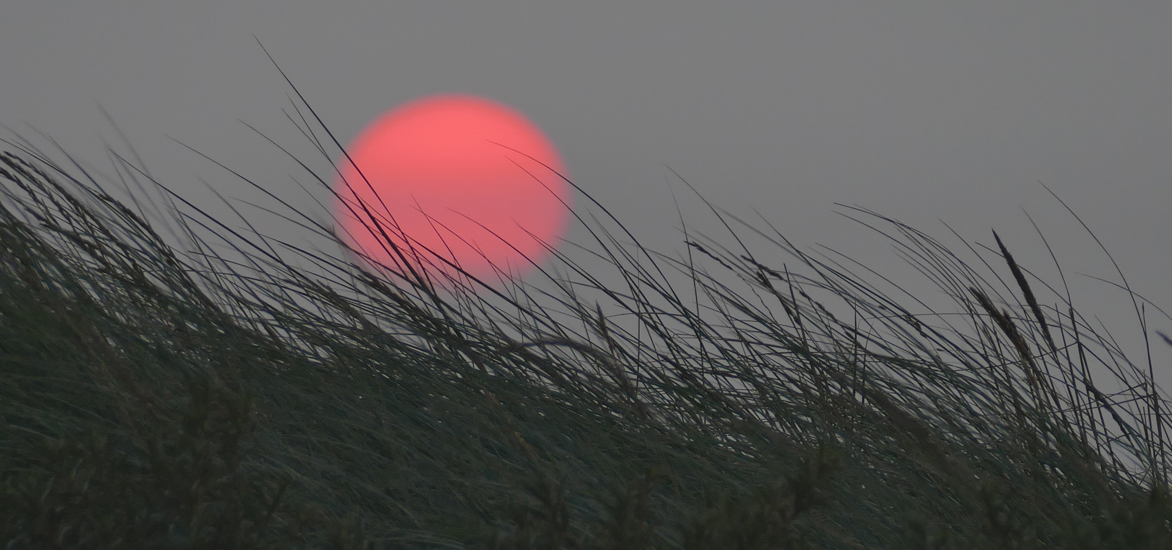 Sonnenuntergang in den Dünen