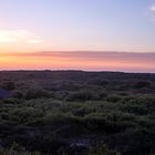 Sonnenuntergang in den Dünen