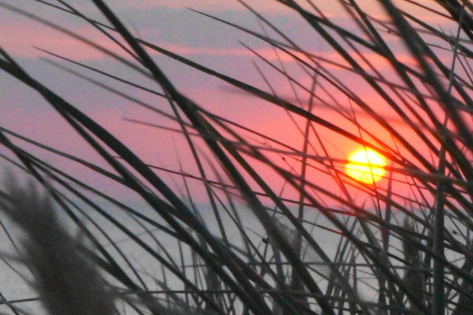 Sonnenuntergang in den Dünen