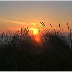 Sonnenuntergang in den Dünen