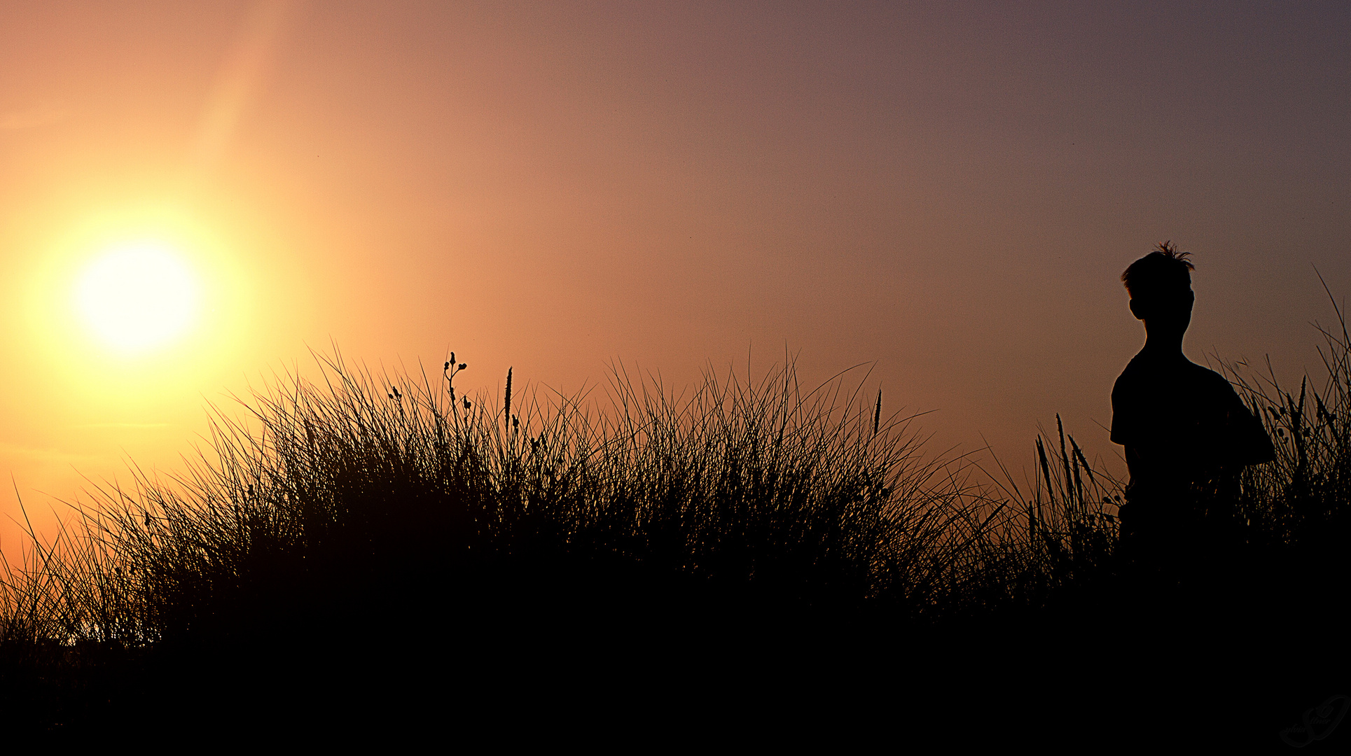 Sonnenuntergang in den Dünen