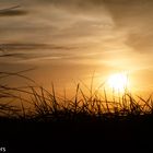 Sonnenuntergang in den Dünen