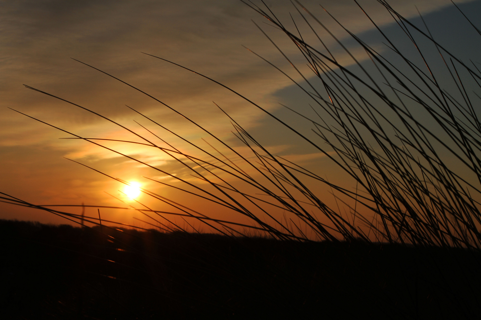 Sonnenuntergang in den Dünen