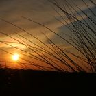 Sonnenuntergang in den Dünen