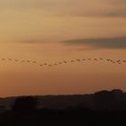 Sonnenuntergang in den Dünen