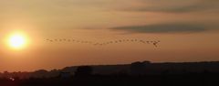 Sonnenuntergang in den Dünen