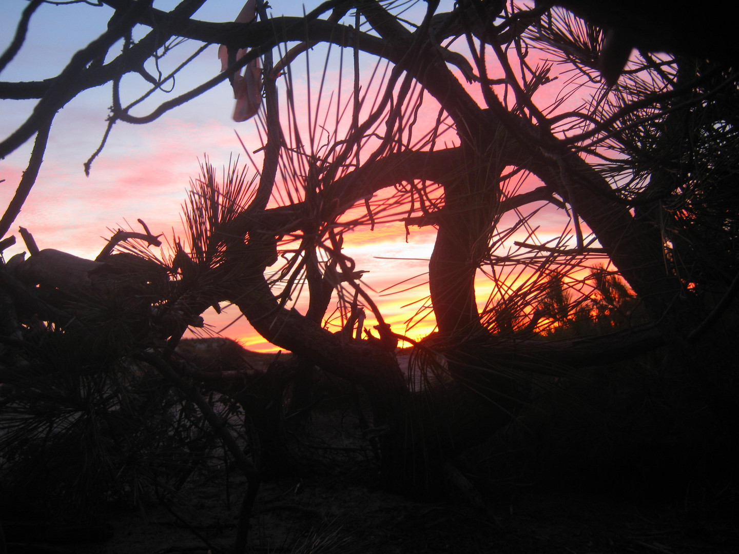 Sonnenuntergang in den Dünen