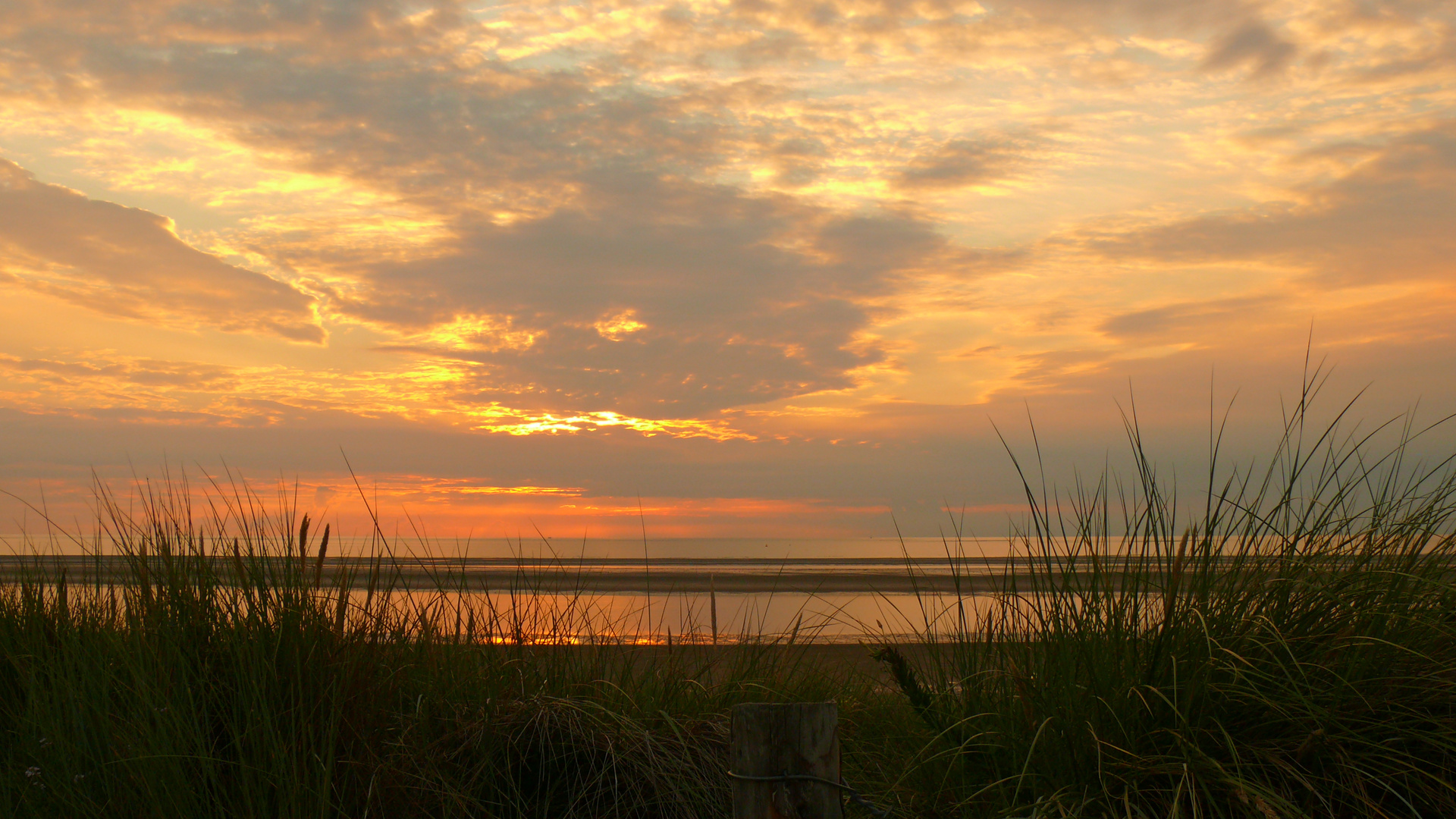 Sonnenuntergang in den Dünen auf Langeoog