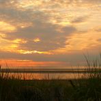 Sonnenuntergang in den Dünen auf Langeoog