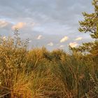 Sonnenuntergang in den Dünen auf Usedom