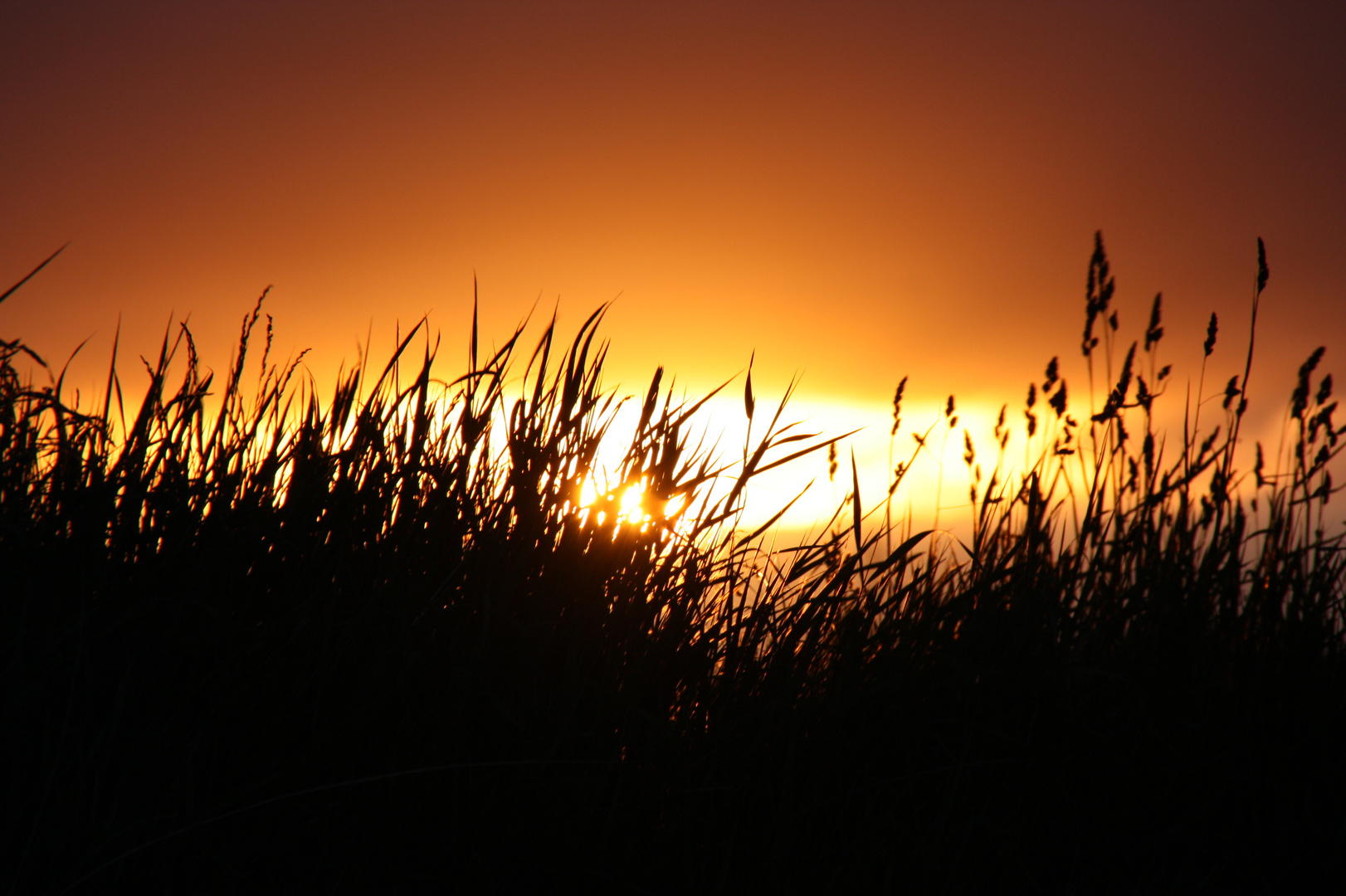 Sonnenuntergang in den Dünen bei Houvig (DK)