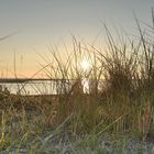 Sonnenuntergang in den Dünen Borkums