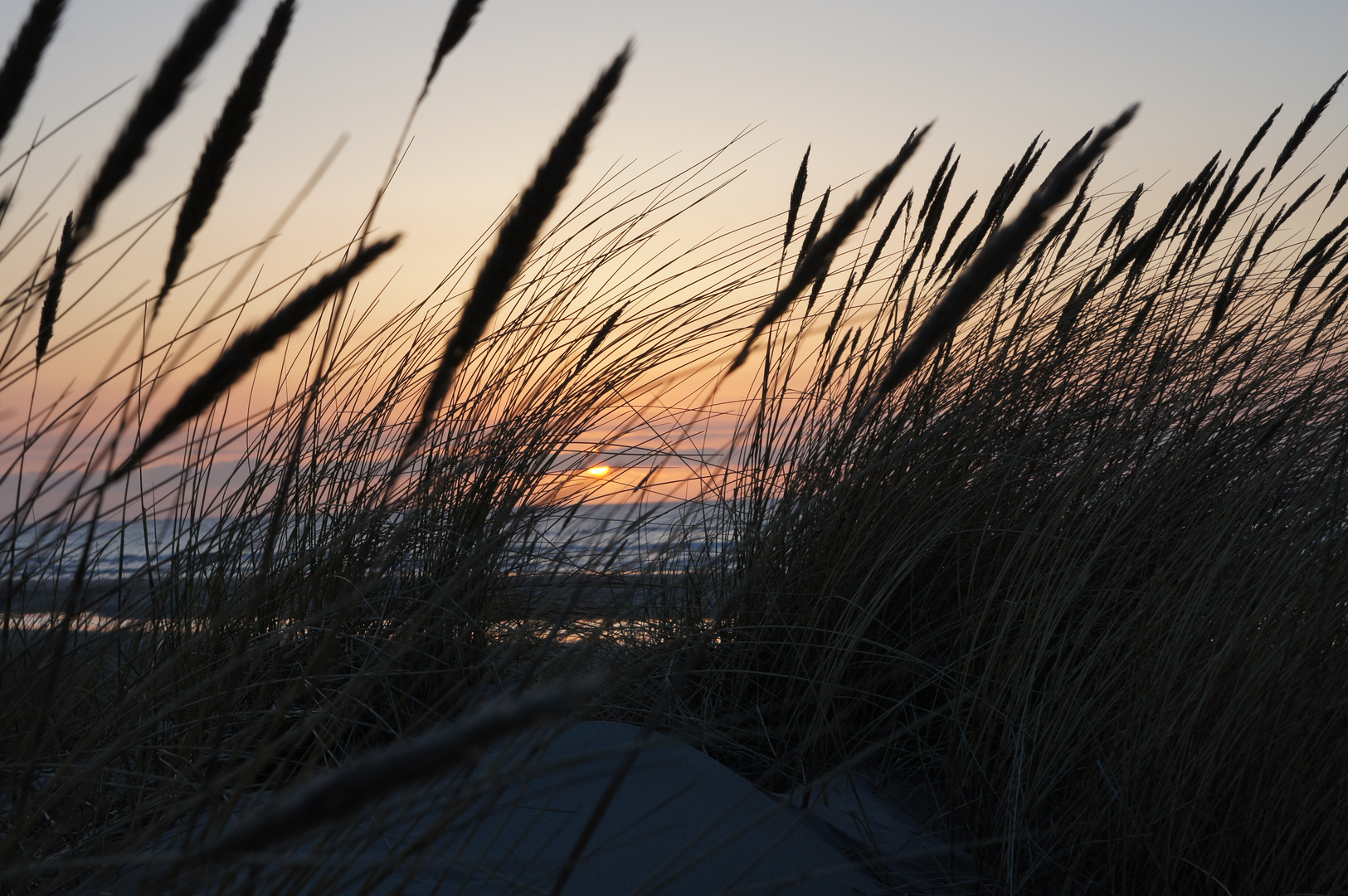 Sonnenuntergang in den Dünen