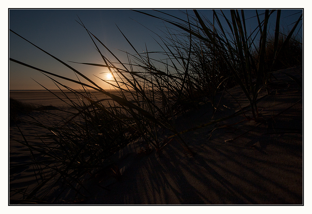 Sonnenuntergang in den dünen