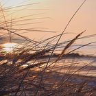 Sonnenuntergang in den Dünen