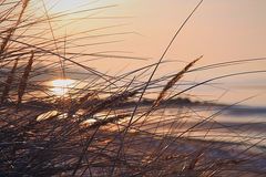 Sonnenuntergang in den Dünen