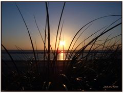 Sonnenuntergang in den Dünen