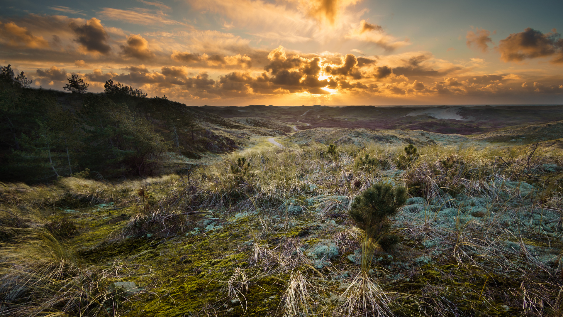 Sonnenuntergang in den Dünen