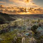 Sonnenuntergang in den Dünen