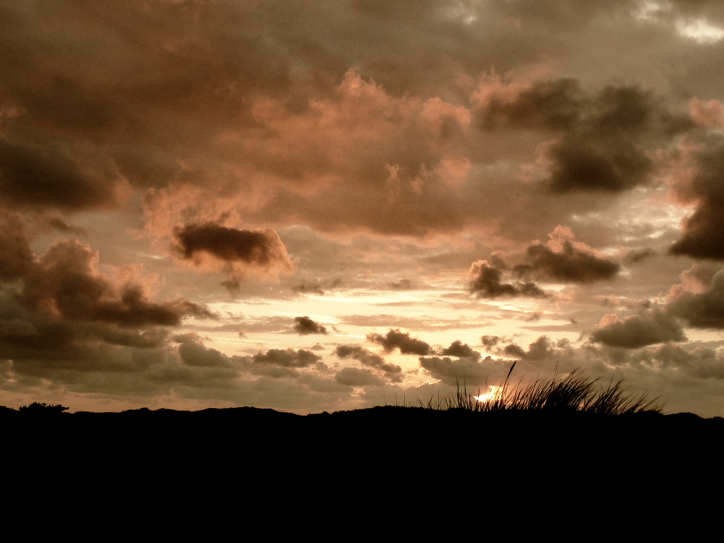 Sonnenuntergang in den Dünen