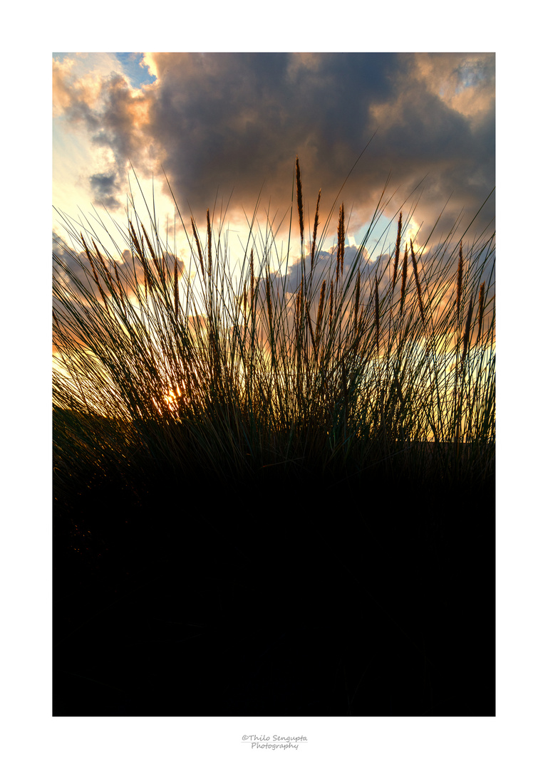 Sonnenuntergang in den Dünen