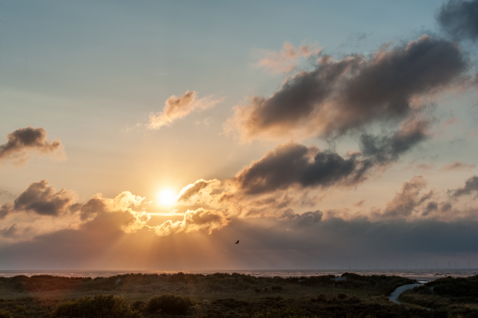 Sonnenuntergang in den Dünen II