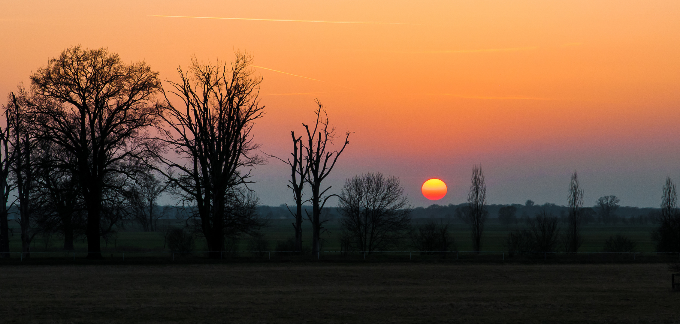 Sonnenuntergang in den Elbauen