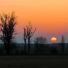 Sonnenuntergang in den Elbauen