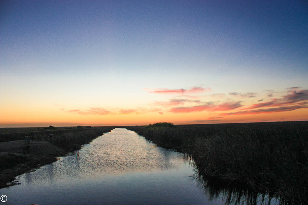 Sonnenuntergang in den Everglades