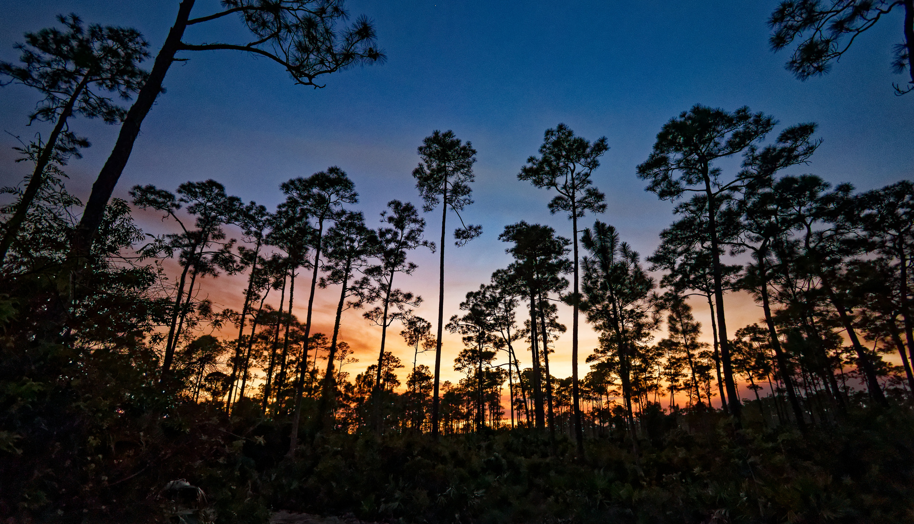 Sonnenuntergang in den Everglades