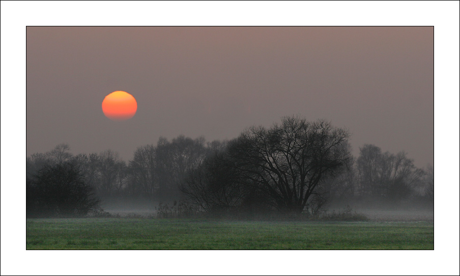 Sonnenuntergang in den Feuchtauen