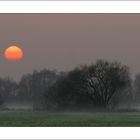 Sonnenuntergang in den Feuchtauen