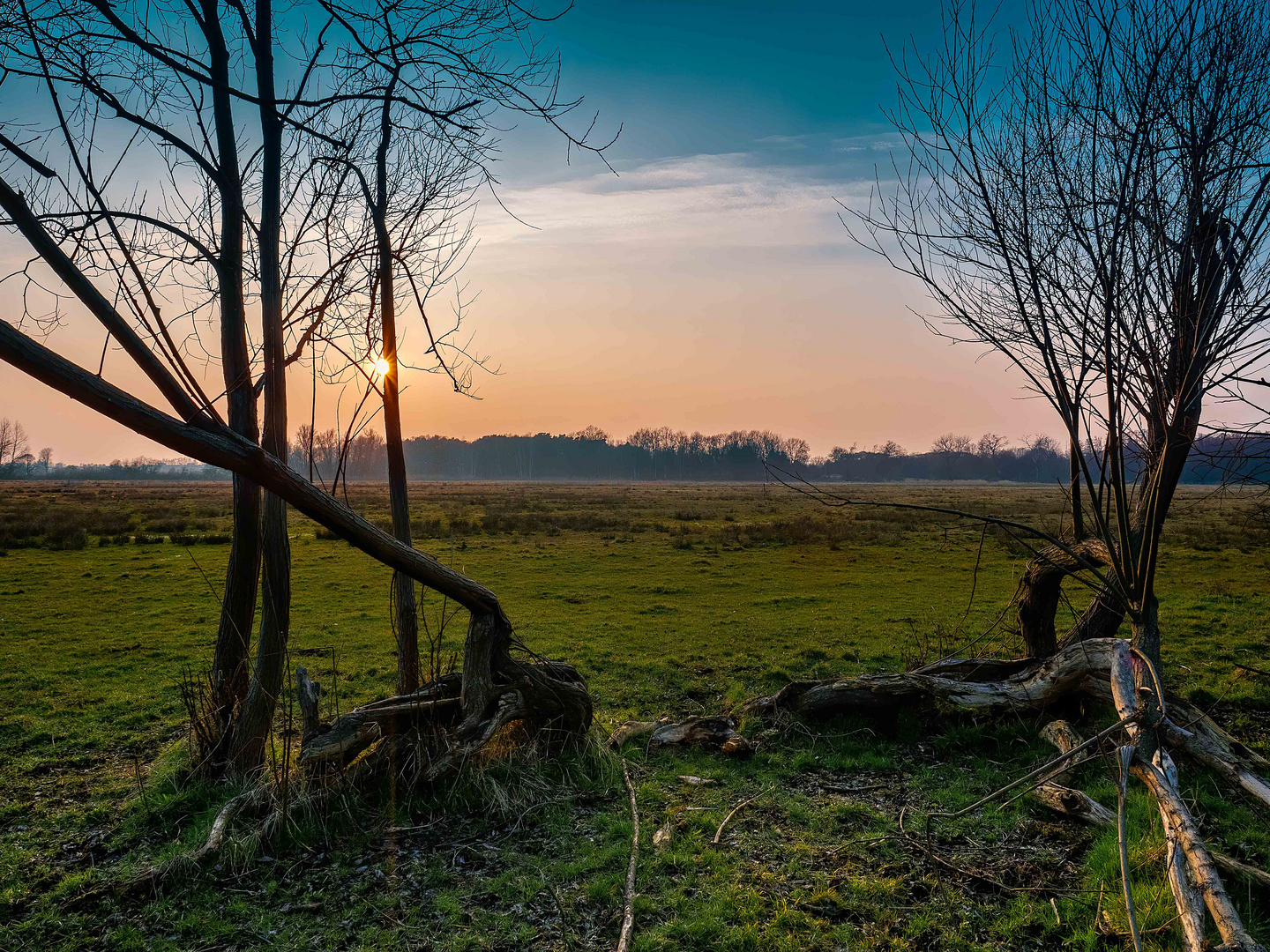 Sonnenuntergang in den Gosener Wiesen