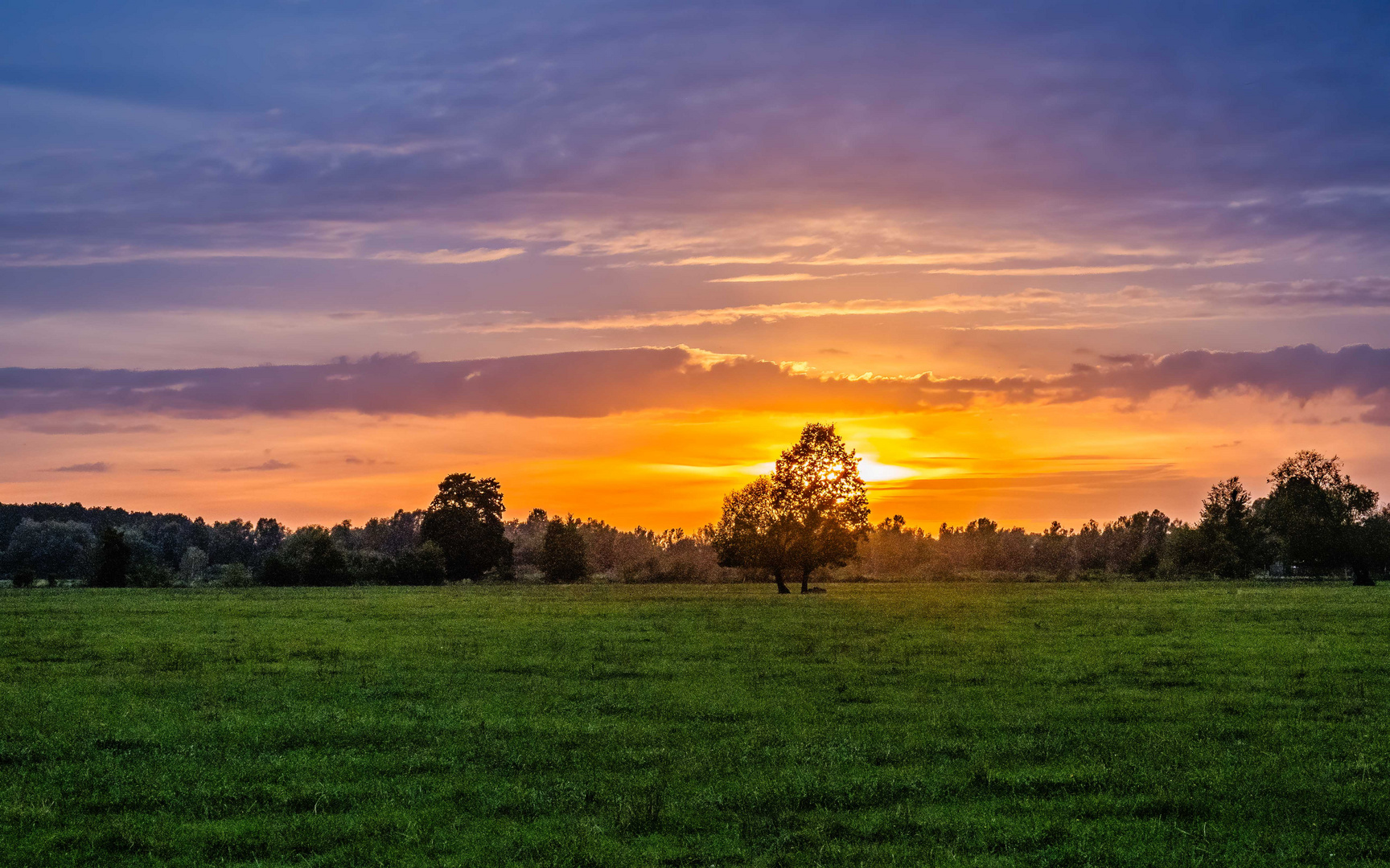 Sonnenuntergang in den Gosener Wiesen