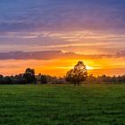 Sonnenuntergang in den Gosener Wiesen