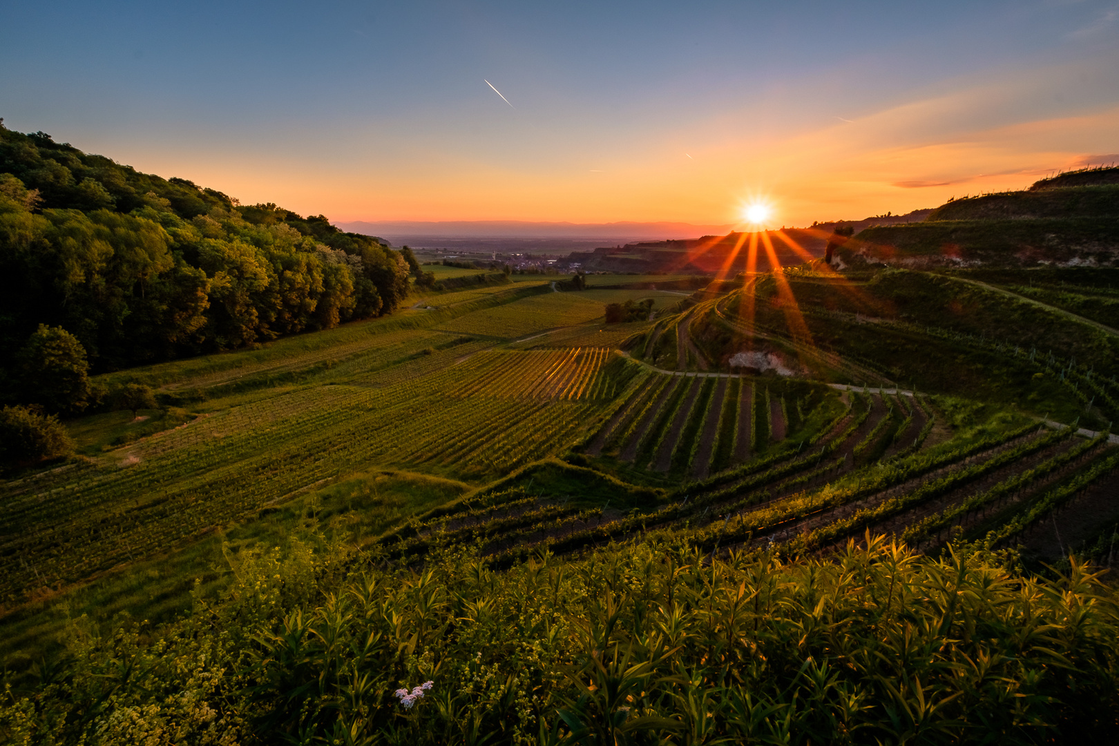 Sonnenuntergang in den Kaiserstühler Weinbergen