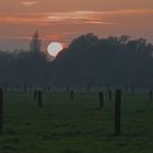 Sonnenuntergang in den Laher Wiesen