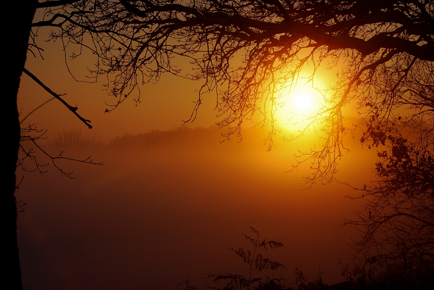 Sonnenuntergang in den letzten Stunden des Jahres