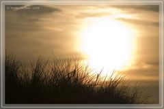 Sonnenuntergang in den Nordseedünen