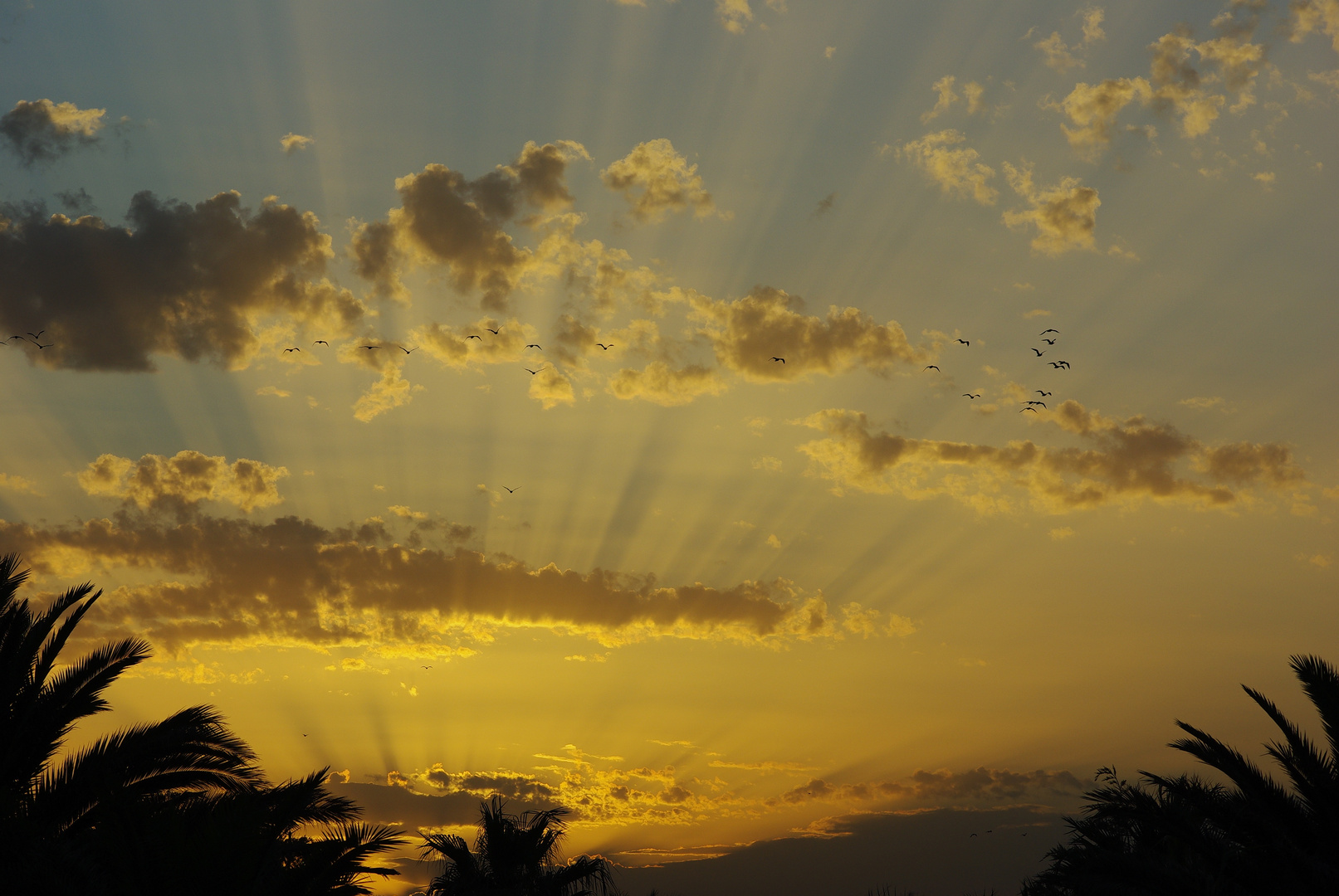 Sonnenuntergang in den Pyrenäen