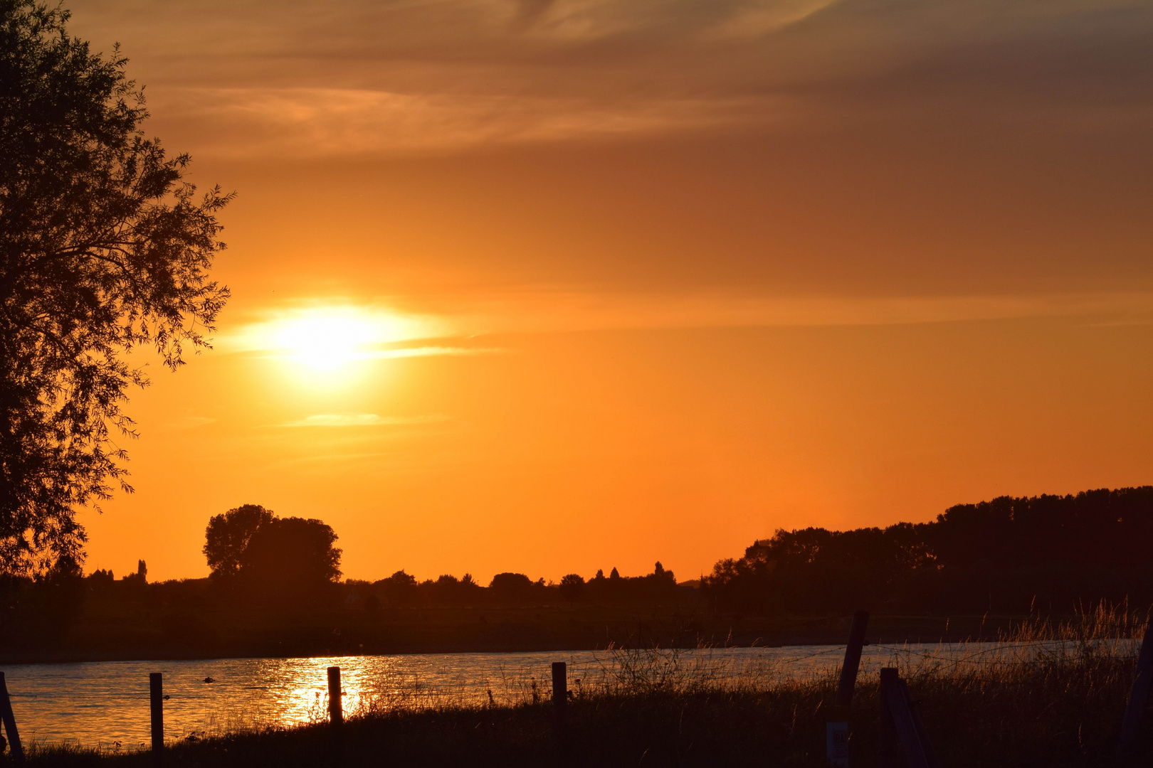 Sonnenuntergang in den Rheinauen