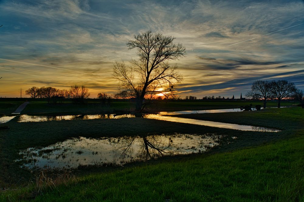 Sonnenuntergang in den Rheinauen