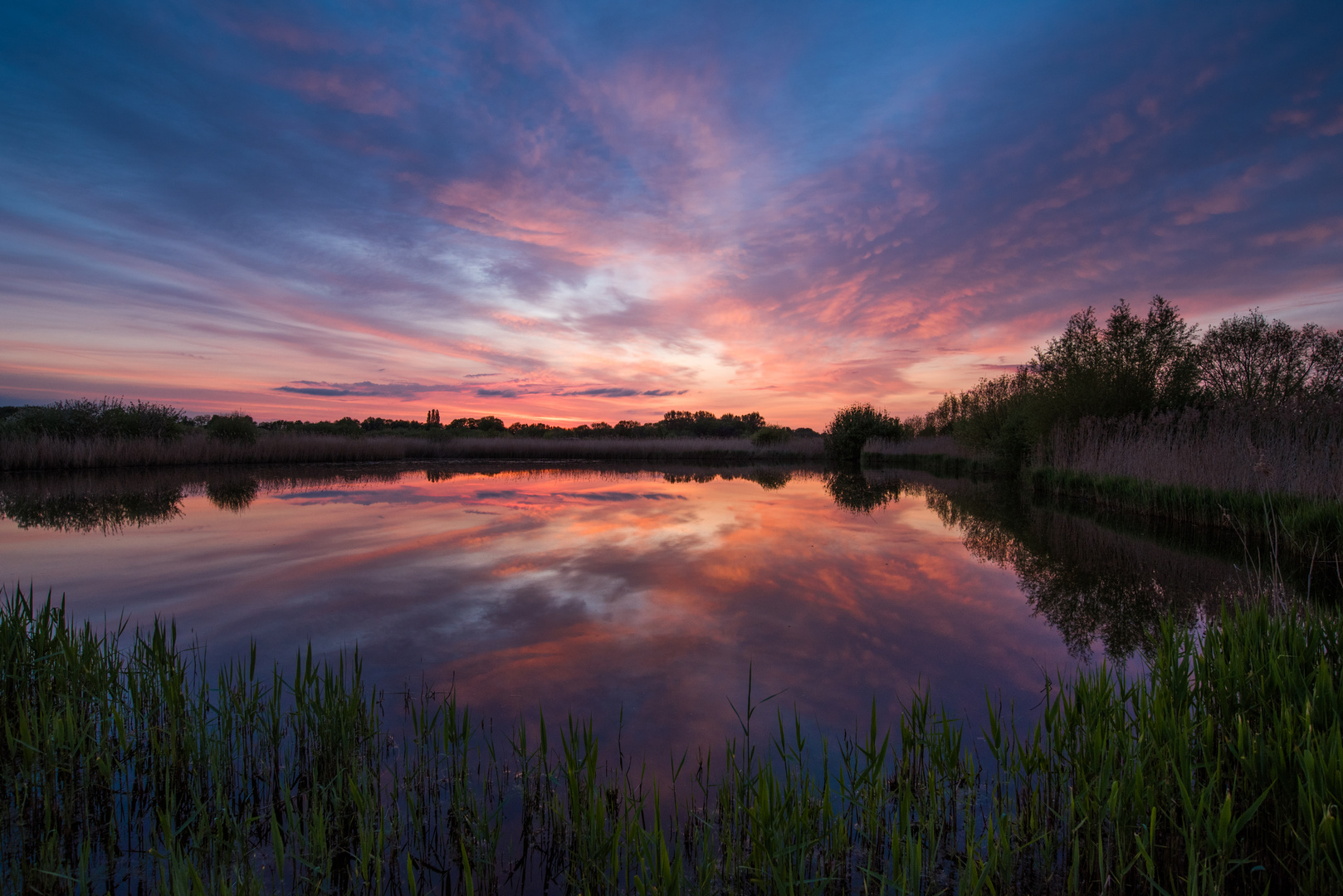 Sonnenuntergang in den Rieselfelder