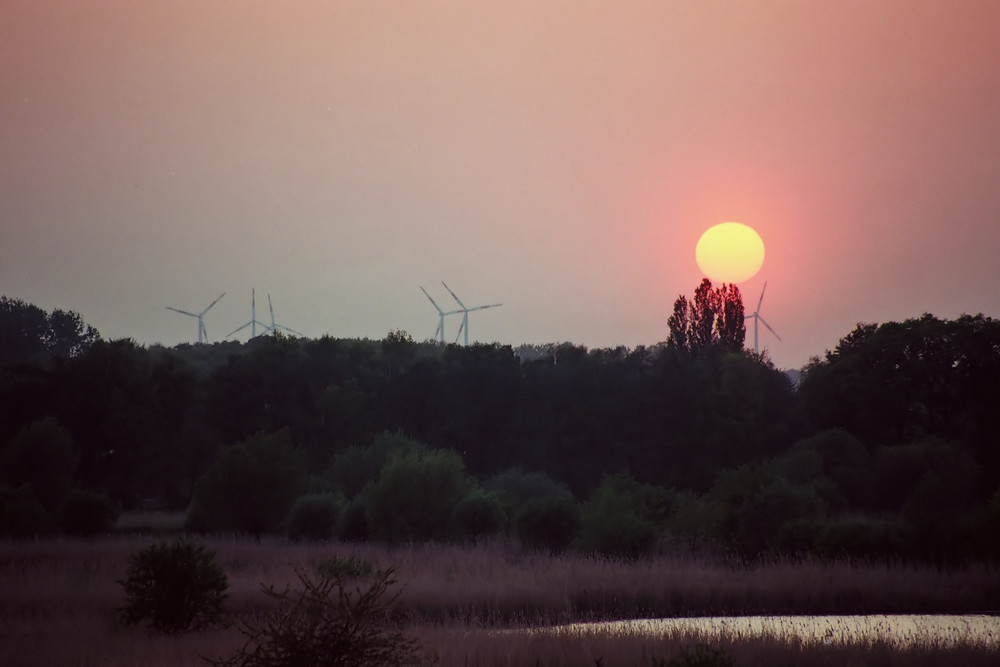 Sonnenuntergang in den Rieselfeldern