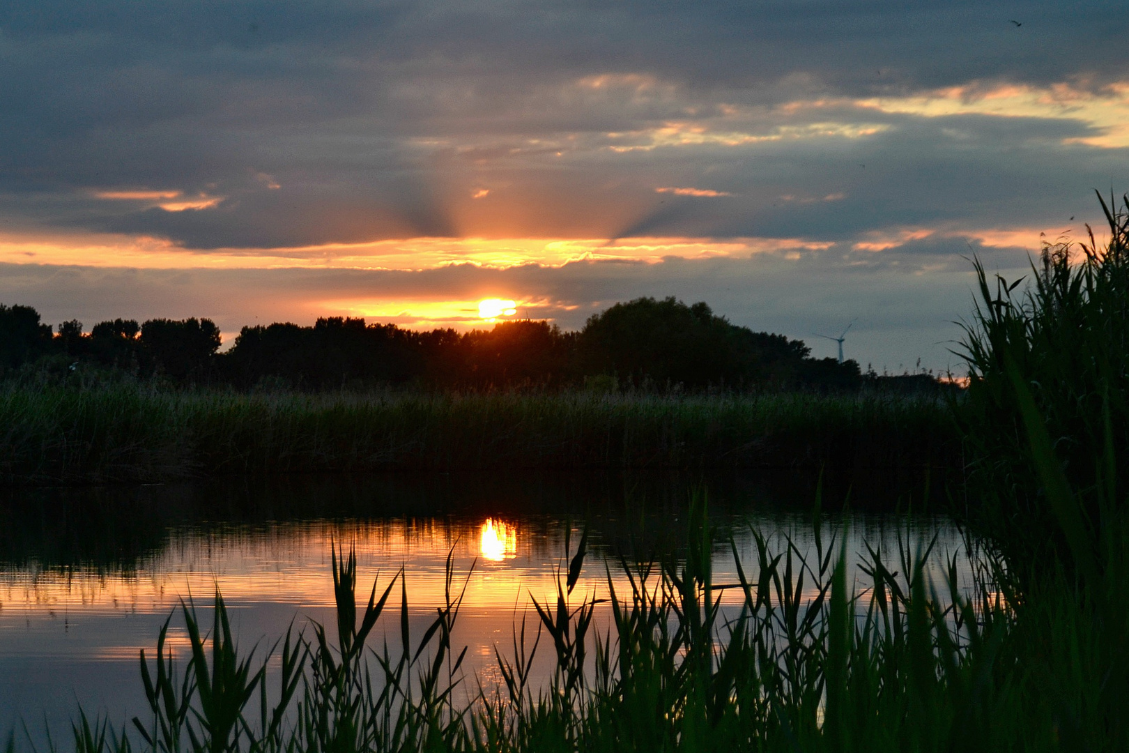 Sonnenuntergang in den Rieselfeldern